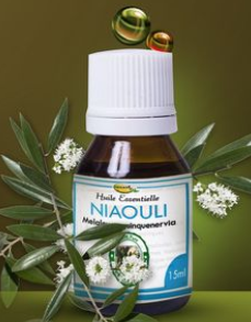 Huile essentielle de NIAOULI – 25 ml
